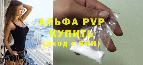 ПСИЛОЦИБИНОВЫЕ ГРИБЫ Переславль-Залесский