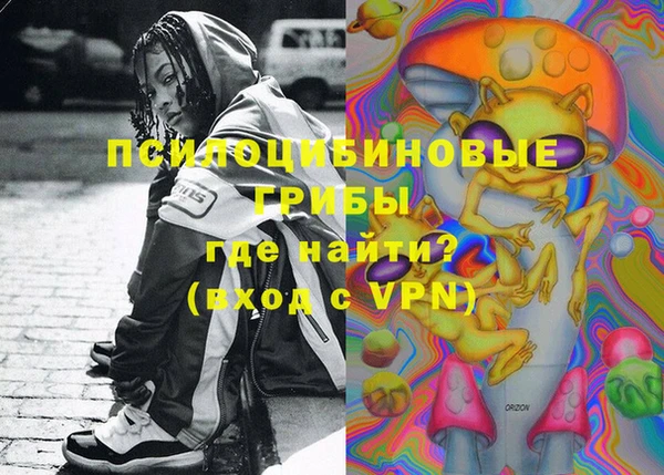ПСИЛОЦИБИНОВЫЕ ГРИБЫ Переславль-Залесский