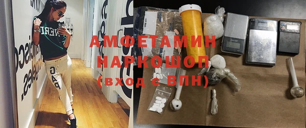 прущие грибы Абаза