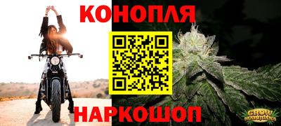 apvp Гатчина