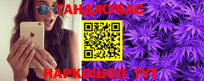 apvp Гатчина