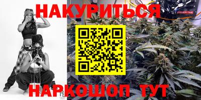 apvp Гатчина