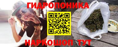 apvp Гатчина