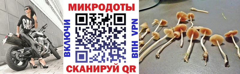 Галлюциногенные грибы ЛСД Избербаш