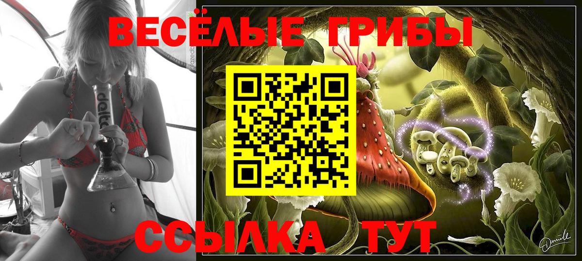 Псилоцибиновые грибы Psilocybine cubensis  Вход с VPN  Избербаш  Галлюциногенные грибы ЛСД 