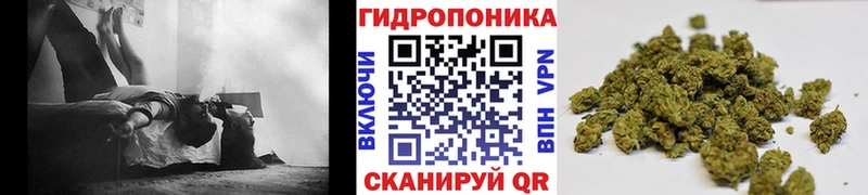 закладка  Избербаш  Конопля AK-47 